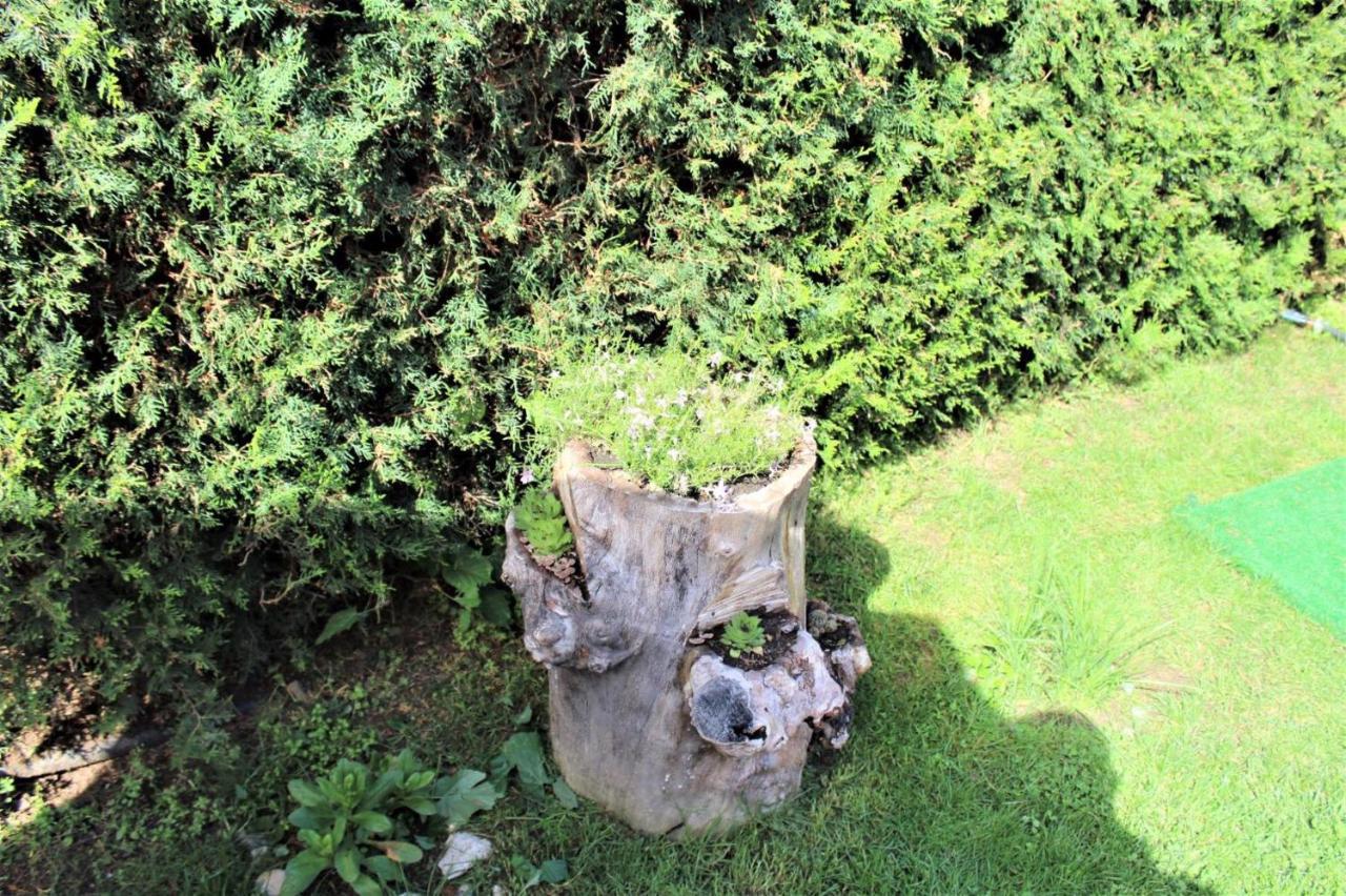 Guest House Brezata - Betula Glavatartsi Exterior photo